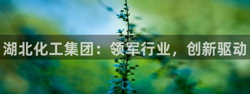 球盟会里面有打牌的嘛知乎