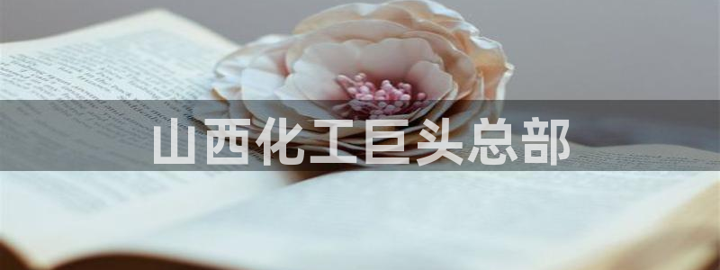 球盟会黑款吗知乎