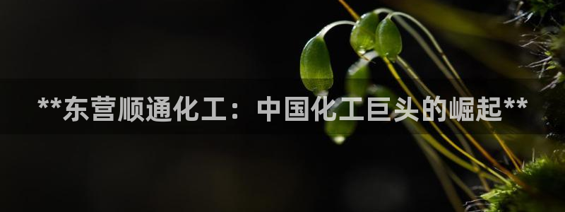 球盟会网页版登陆