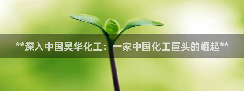 球盟会优惠领取网站
