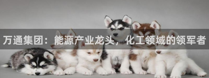 球盟会app最新地址在哪找