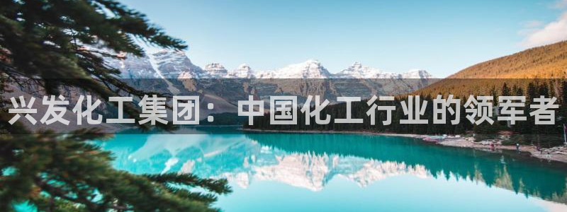 球盟会APP最新地址