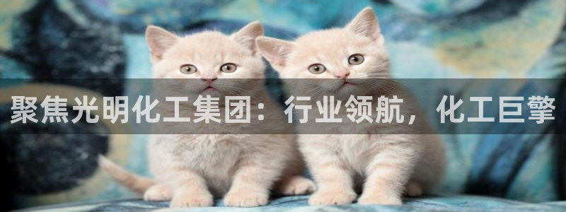 球盟会APP官网