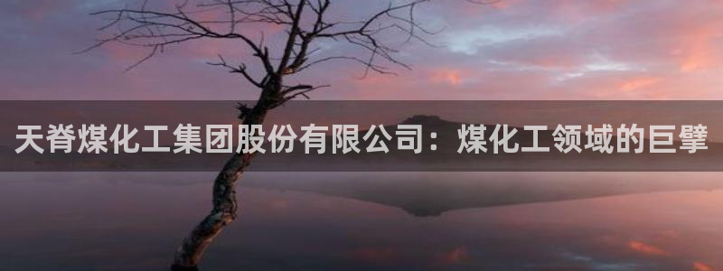 球盟会黑平台