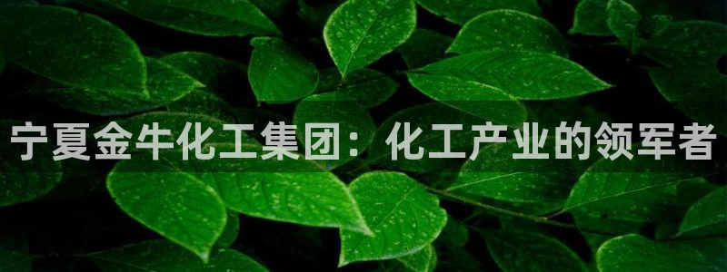 球盟会下载最新版