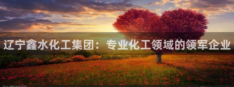 球盟会官方网址入口