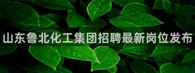 球盟会论坛