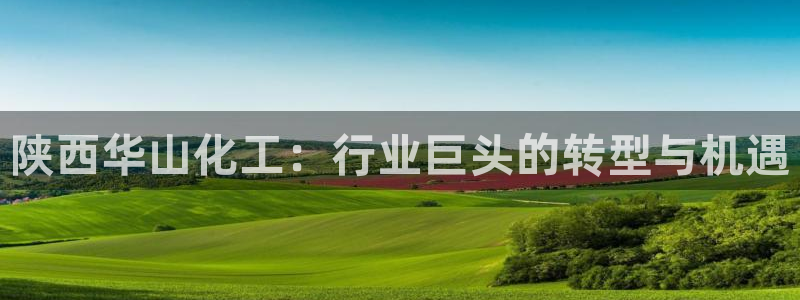 球盟会综合体育平台怎么样