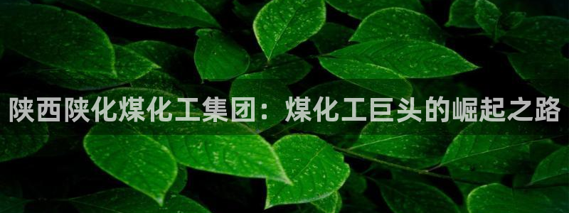 球盟会最新地址备用