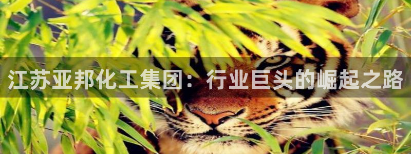 球盟会贴吧
