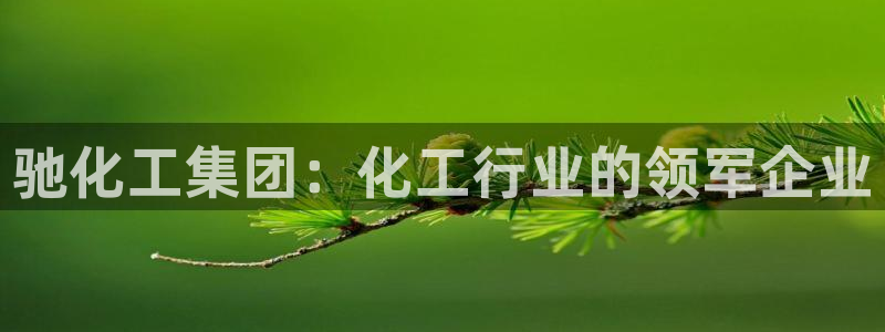 球盟会里面有打牌的嘛