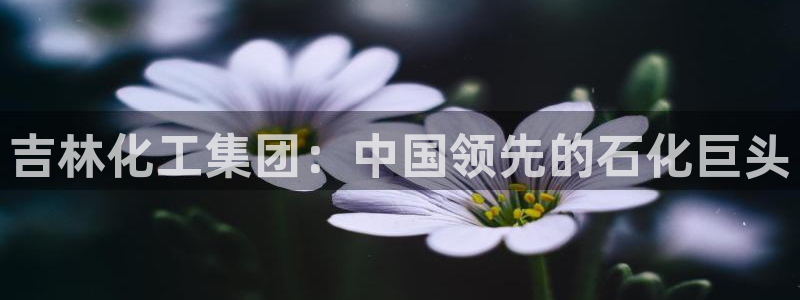 球盟会网页登录app下载地址：吉林化工集团：中国领先的石化巨