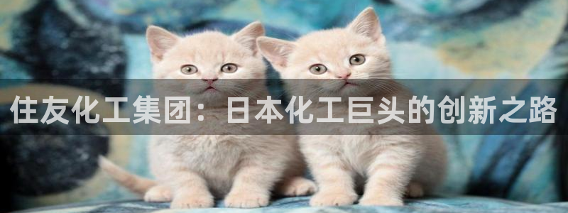 球盟会黑款吗知乎小说