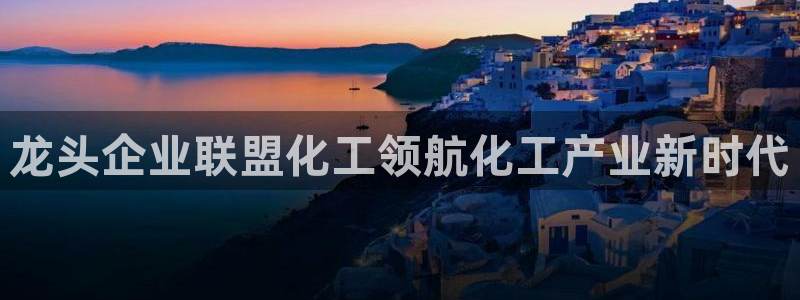 球盟会入口