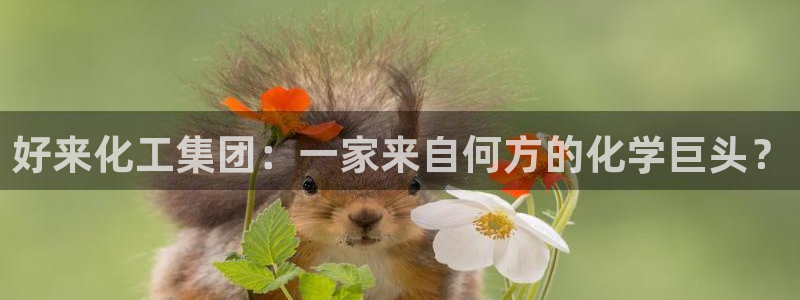 球盟会最新网