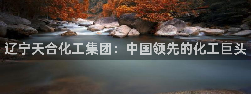 球盟会入口