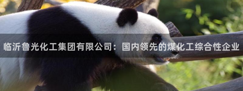 球盟会网页登录app下载地址：临沂鲁光化工集团有限公司：国内