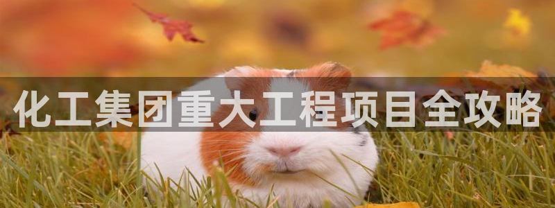球盟会qmh - 球盟会官方网站