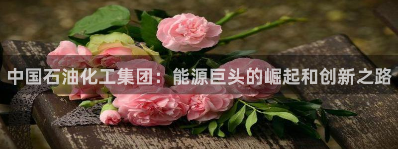球盟会福利码2023最简单三个步骤：中国石油化工集团：能源巨