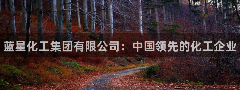 球盟会黑款吗知乎：蓝星化工集团有限公司：中国领先的化工企业