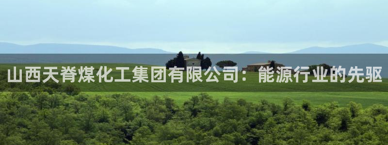 球盟会app：山西天脊煤化工集团有限公司：能源行业的先驱