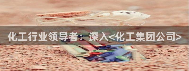 球盟会官方：化工行业领导者：深入<化工集团公司>