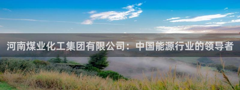 球盟会电子好下吗：河南煤业化工集团有限公司：中国能源行业的领
