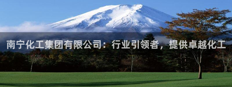 球盟会官方网页登录：南宁化工集团有限公司：行业引领者，提供卓