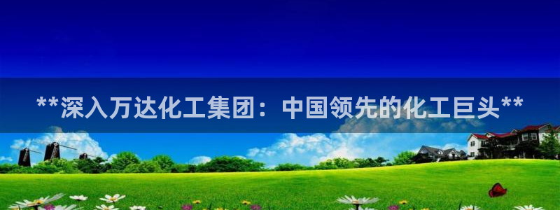 球盟会黑款吗知乎小说：**深入万达化工集团：中国领先的化工巨