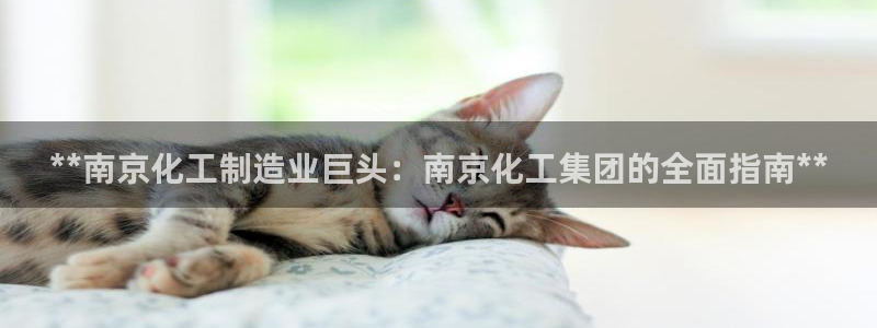 球盟会体验金球奖吗：**南京化工制造业巨头：南京化工集团的全