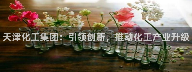 球盟会优惠码：天津化工集团：引领创新，推动化工产业升级