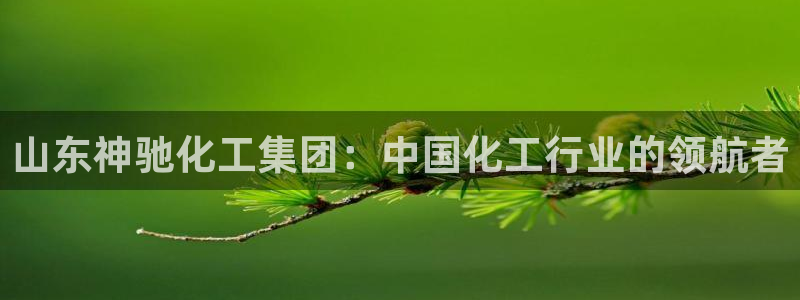 球盟会官方入口：山东神驰化工集团：中国化工行业的领航者