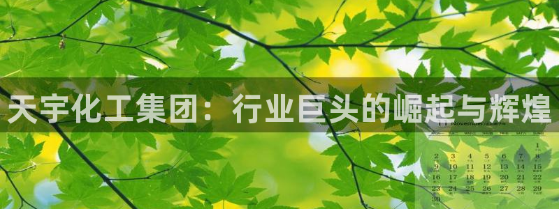 球盟会