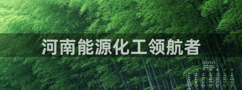 球盟会官方入口：河南能源化工领航者