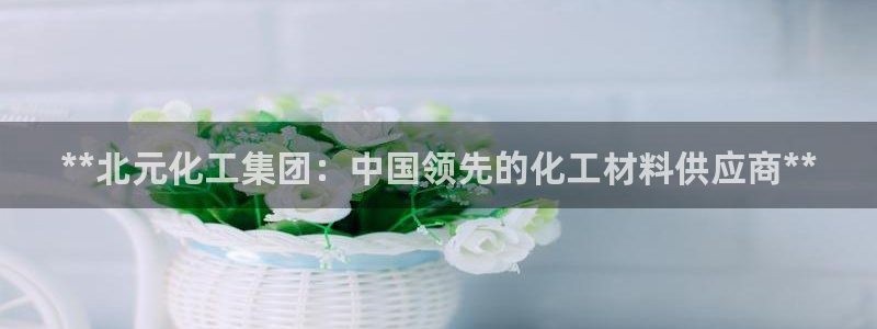 球盟会官方网页登录：**北元化工集团：中国领先的化工材料供应