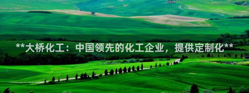 球盟会黑嘛：**大桥化工：中国领先的化工企业，提供定制化**