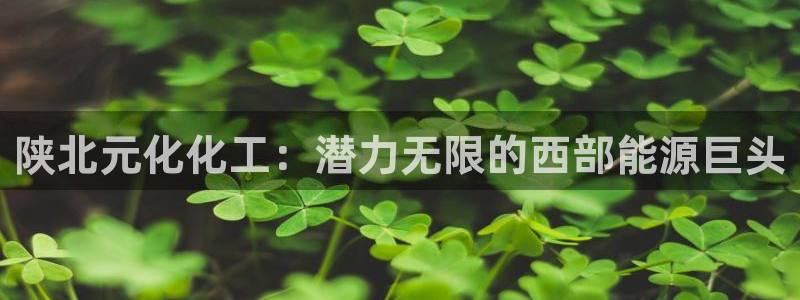 球盟会有没有黑单的球员