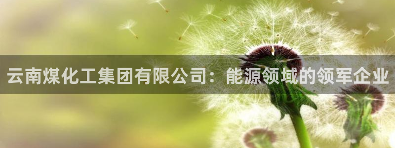 球盟会app网址多少：云南煤化工集团有限公司：能源领域的领军