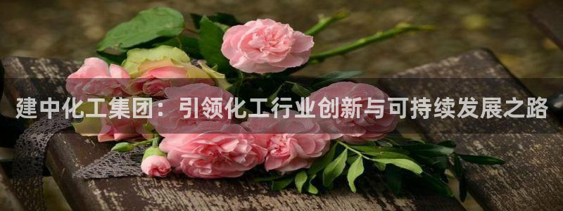 球盟会APP最新地址
