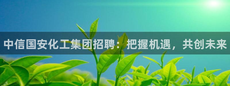 球盟会体验金
