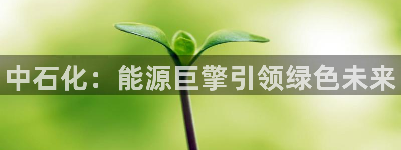 球盟会头号玩家：中石化：能源巨擎引领绿色未来