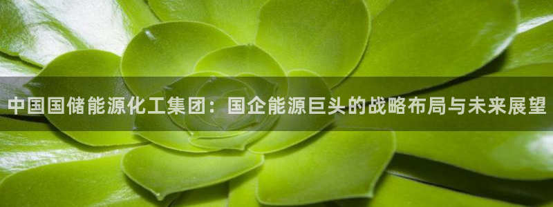 球盟会入口
