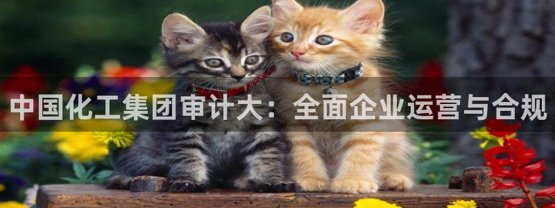球盟会app最新地址下载安装