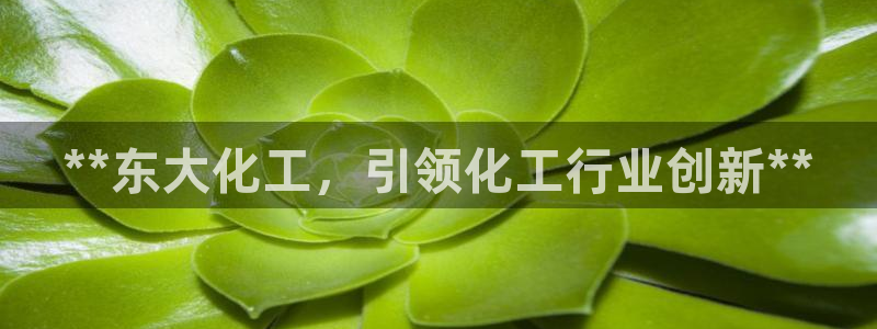 球盟会app最新地址在哪里：**东大化工，引领化工行业创新*