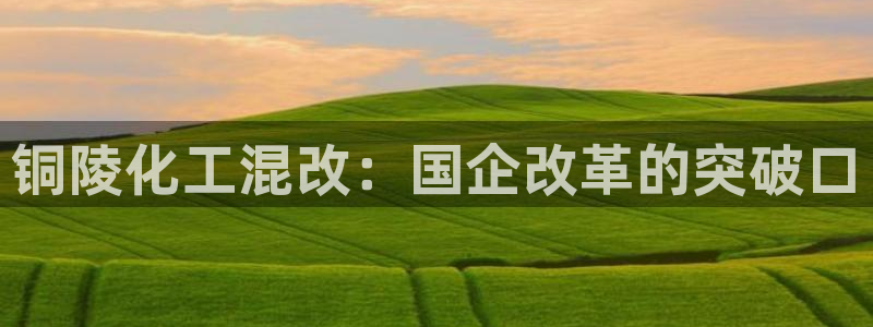 球盟会黑网
