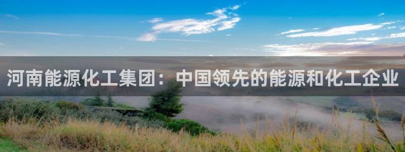 球盟会电子：河南能源化工集团：中国领先的能源和化工企业
