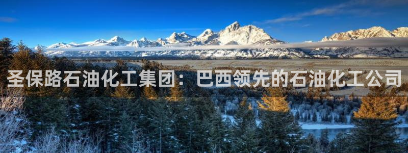 球盟会黑款吗知乎文章：圣保路石油化工集团：巴西领先的石油化工