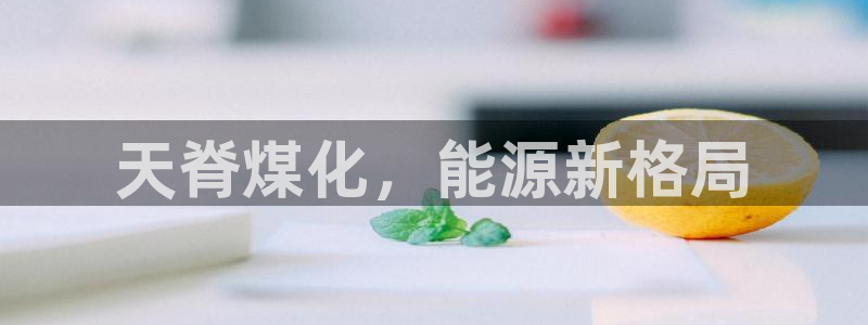 球盟会qm：天脊煤化，能源新格局