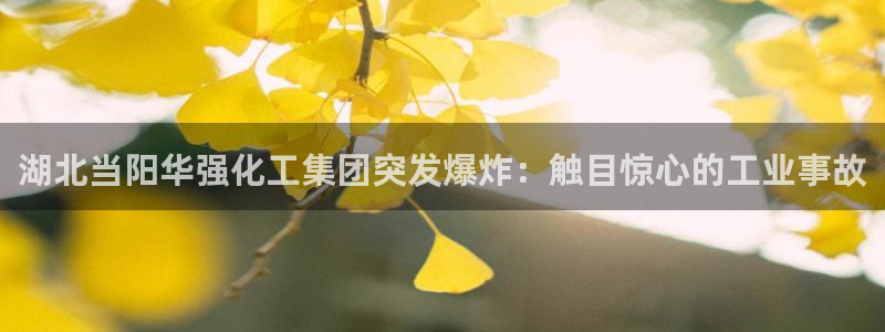 球盟会黑钱