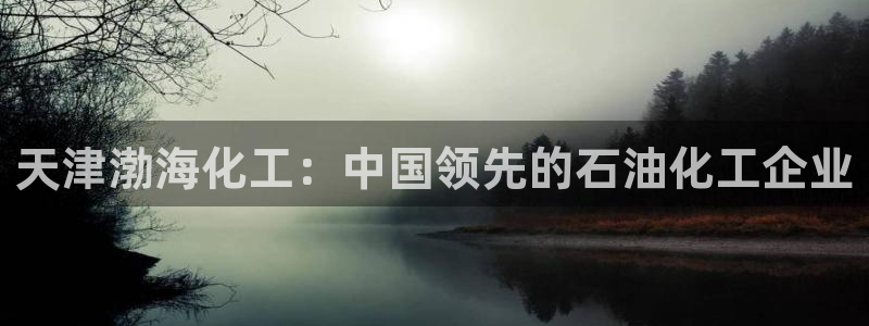 球盟会官方网入口：天津渤海化工：中国领先的石油化工企业